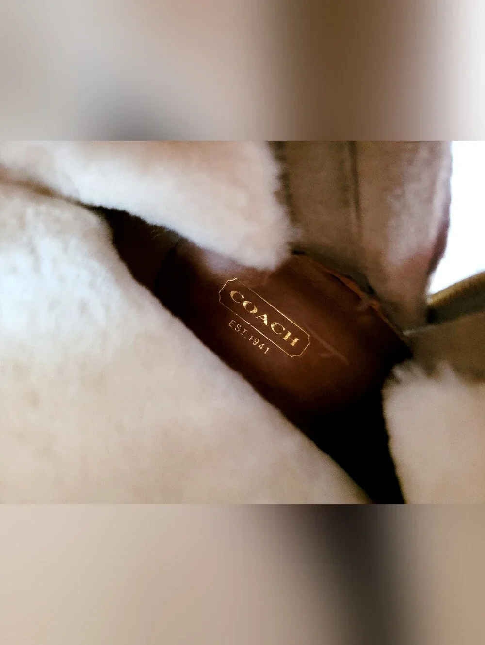 Coach Danee Taupe Suede Shearling Wedge Ankle Boots with Side Zip 10